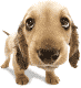 :p
