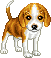 5907